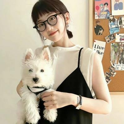 疯狂的飞机